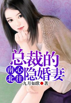 南心北往，总裁的隐婚妻