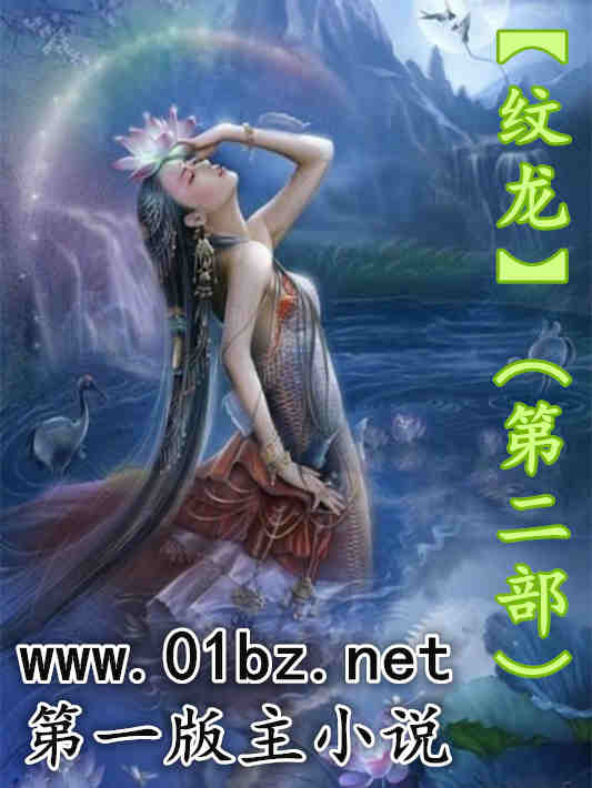 纹龙（第二部）