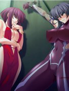 我的老婆是对魔忍