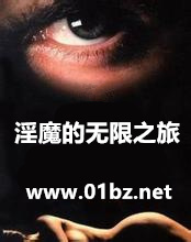 淫魔的无限之旅