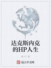 达克斯内克的HP人生