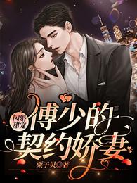 闪婚甜宠：傅少的契约娇妻