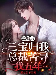 离婚后三宝归我，总裁苦寻我五年