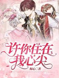 许你住在我心尖