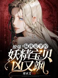 撩爆！偏执晏爷的妖精宝贝凶又飒