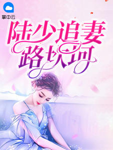陆少追妻路坎坷